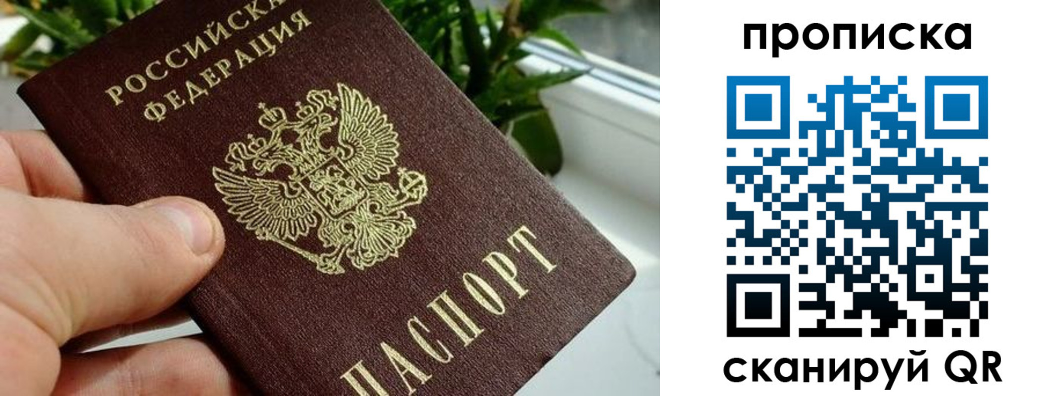 временная прописка в Белорецке